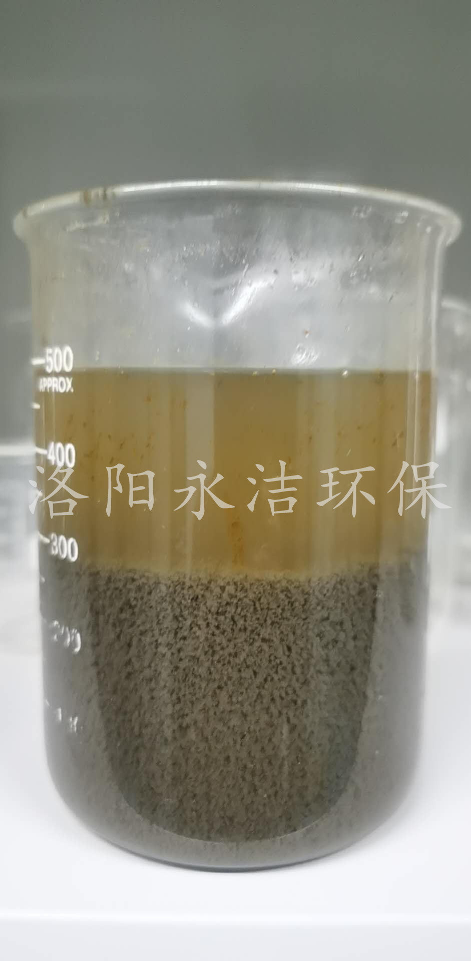 实验展示 实验展示