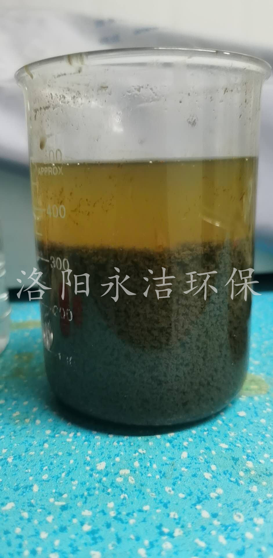 实验展示 实验展示